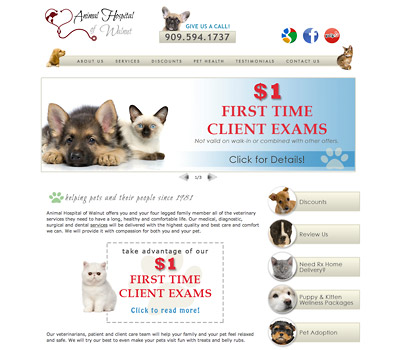 Veterinarian Website in Walnut, CA